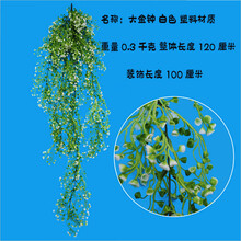 精致花瓶，給你一個(gè)家的藝術(shù)生活