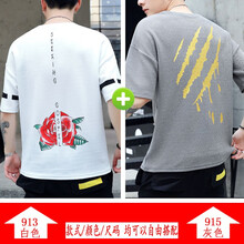 唐森馬維獅 五分袖 男士T恤 913白色+915灰色  