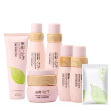 葉子,葉子,怎么樣,新鮮,新鮮,面膜,面膜