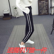 莫戈里（MOGORI） 高腰 鉛筆褲/小腳褲 女 九分褲 休閑褲