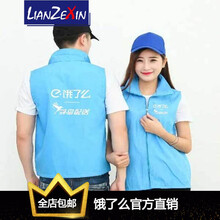 戀澤芯（LIANZEXIN） 長袖 男士T恤 蜂鳥馬甲 