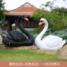水槽模型