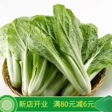 蔬菜油菜奶油菜小白菜绿色无公害快菜鲜嫩可口快菜 1斤装