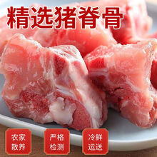 锦祥橙 4斤多肉猪脊骨龙骨猪脊椎骨新鲜冷冻带肉脊骨段速冻带猪肉大