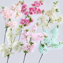 櫻花桃花