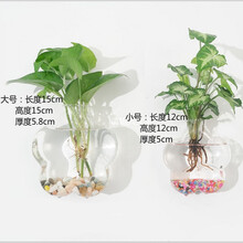 創(chuàng)意花瓶，為你的家增添藝術(shù)感