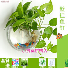 創(chuàng)意玻璃花瓶，點亮你的家居生活