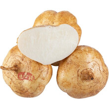 广西新鲜凉薯 白地瓜现挖番薯沙豆薯蔬菜当季 5斤