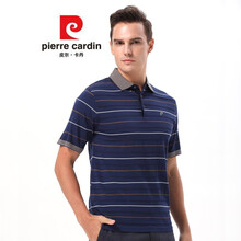 皮爾卡丹（pierrecardin） 短袖 男士T恤 蘭藍(lán)色63001 
