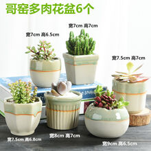 一盞花瓶，讓你的家四季如春