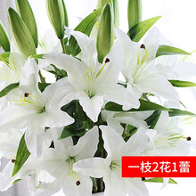 精美生態(tài)花瓶，打造浪漫田園風