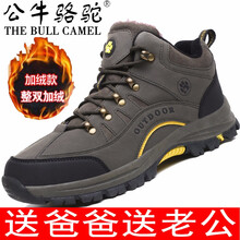 公牛駱駝（THE BULL CAMEL）男士J711軍綠 43