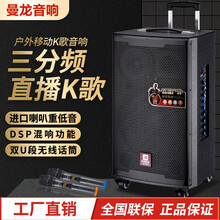 曼龍（MALONE） M10 M12 M15 音箱/音響 M10 10寸2個(gè)U段話筒+遙控+U盤