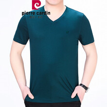 皮爾卡丹（pierrecardin） 短袖 男士T恤 78105哈青 