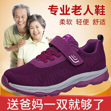 西域駱駝（VANCAMEL）男士6801紫色女款 