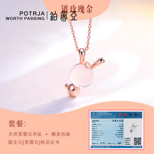 兔子長(zhǎng)項(xiàng)鏈