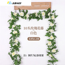 創(chuàng  )意陶瓷花瓶，讓你的家愛(ài)上生活