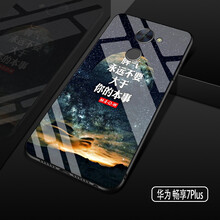 puls后殼
