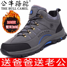 公牛駱駝（THE BULL CAMEL）男士J711灰藍(lán) 43