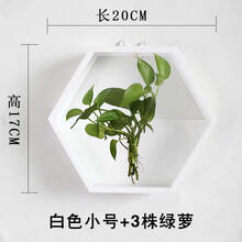 創(chuàng)意花瓶，讓你的家不再單調(diào)！