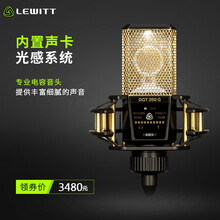 萊維特（LEWITT） DGT 260 小金人 支撐式 麥克風(fēng) 小金人