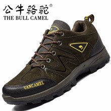 公牛駱駝（THE BULL CAMEL）男士PT2129軍綠 41