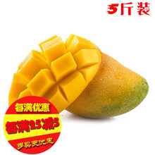 ֭С̨ũСâ