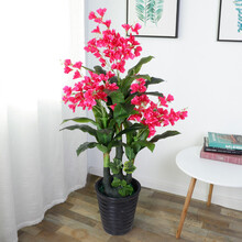 玻璃花瓶套裝，讓你愛(ài)上生活