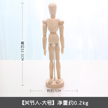 美術(shù)人偶模型