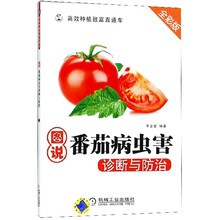 番茄
