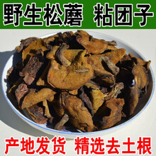 12 条评论和之然东北特产干货松磨菇松菇山娥子松娥粘团子烘干蘑菇 松