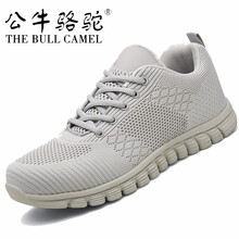 公牛駱駝（THE BULL CAMEL）男士T17米色 43