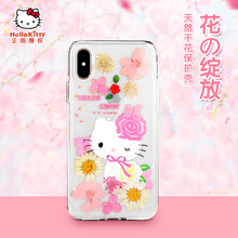 xdoria凱蒂