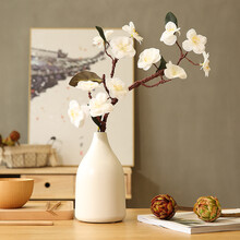 現(xiàn)代簡(jiǎn)約風(fēng)花瓶，提升客廳藝術(shù)感