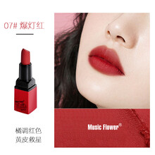 滋潤保濕口紅，讓雙唇不再干燥