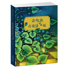 國際大獎(jiǎng)小說