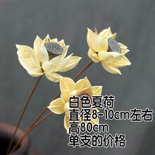 筒紙，讓你的家不再單調！