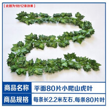 怎么樣,電線,電線,管子,管子