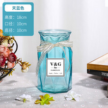 家居創(chuàng)意植物擺件