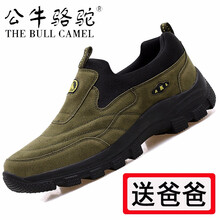 蓋世駝（GAISHITUO）男士GP1503軍綠 41