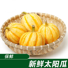 新鲜太阳瓜食用黄金贝贝南瓜金桔南瓜贝贝果迷你小南瓜雕刻 2斤