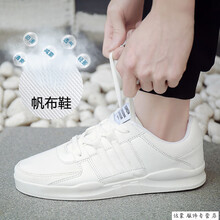 鱷魚恤（CROCODILE）男士全白 43
