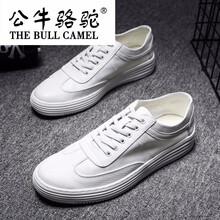 公牛駱駝（THE BULL CAMEL）男士2082白色 41