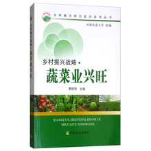 鄉(xiāng)村振興戰(zhàn)略