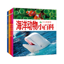 工程車大型