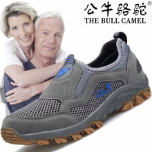 公牛駱駝（THE BULL CAMEL）男士T2828灰藍 42