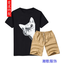 斐波納契 短袖 男士T恤 T43黑色+卡其 