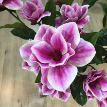 創(chuàng)意玻璃花瓶，讓生活變得更簡(jiǎn)單