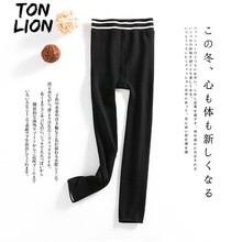 唐獅（TonLion） 高腰 鉛筆褲/小腳褲 女 長褲 休閑褲