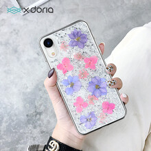 X－doria